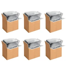 YSSOA 6 Pack Insulated Shipping Boxes with Aluminum Foil Liner 6’’X5’’X9’’
