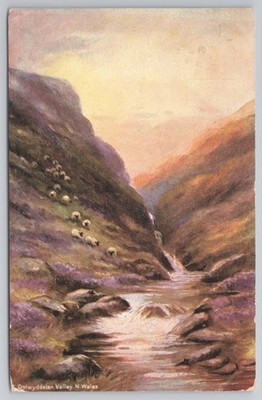 Gedruckte Topographie Dolwyddelan Valley N Wales River Mountains BB London 1907