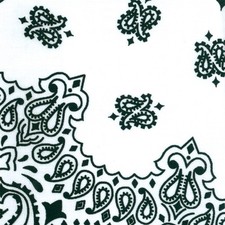 Hav-A-Hank Paisley Bandanna 22"X22" White