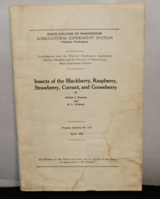 Insects of Blackberry Raspberry Strawberry Currant & Gooseberry 1938 By Webster