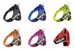 k9 personalised harness