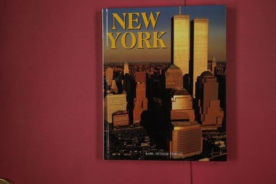 311738 Costanza Poli NEW YORK Karl Müller Verlag HC