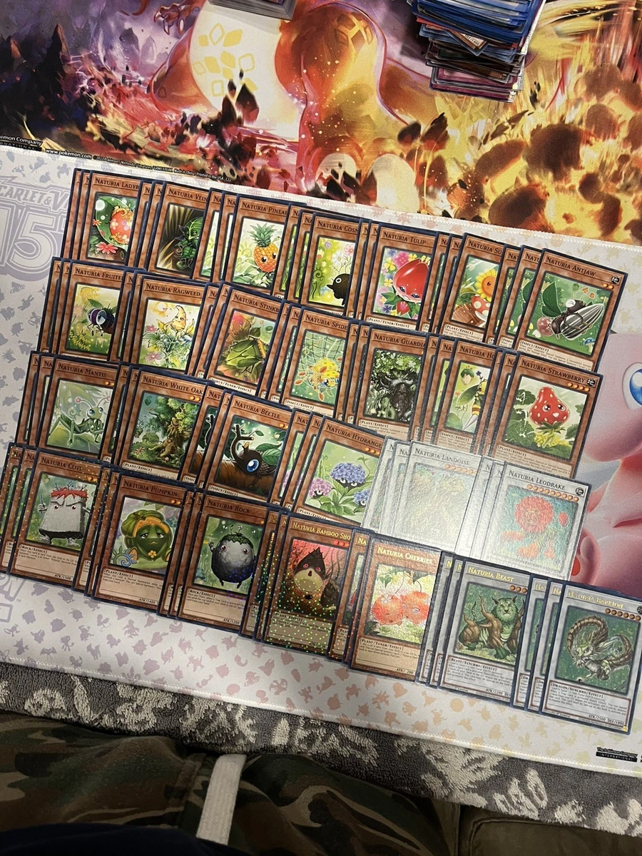 25+ Naturia Deck for sale | Updated Oct 2026