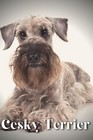 Cesky Terrier: Dog breed overview and guide by Nina Pustova Paperback Book