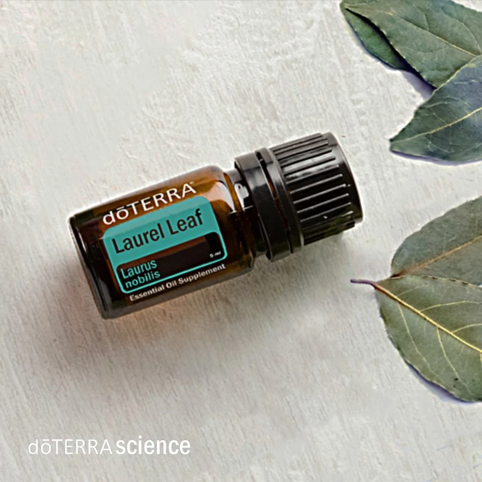 Hoja De Laurel Beneficios Y Usos In 2023 Doterra, Laurel,, 45 OFF