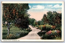 Postcard ME Scene Near Canaan Maine AX3