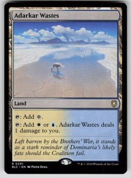 Adarkar Wastes 291/356 Commander: Bloomburrow MTG
