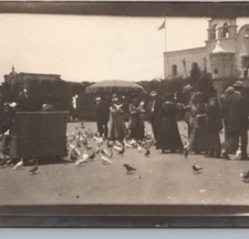 1915 Panama California Expo Bird Electric Cart Real Photo RPPC Postcard
