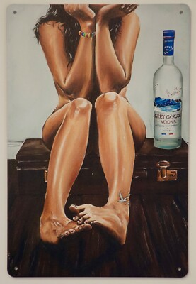 Grey Goose Vintage Retro Blechschild Nostalgie 20x30cm Geschenk für die Bar
