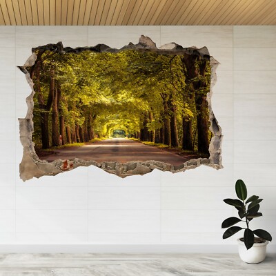 Leere Straße Herbst Dschungel Natur 3D Smashed View Wandaufkleber Poster Aufkleber A24