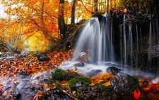 Landscape nature waterfall trees leaves fall moss Custom Gaming Mat Desk