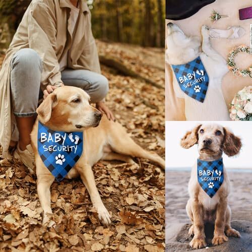 Baby Security Bandana Für Hunde - Süße Schwangerschaftsankündigung