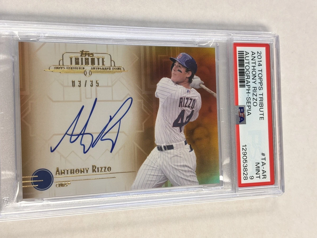 Anthony Rizzo Professional Sports Authenticator (PSA) Baseball 