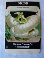 Antique 'CARD SEED CO' Vegetable PACKET, Country Store, Unused, ONION