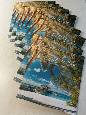 9 ''Beaches'' 12x12inch Hanging Wall Calendar 2026 12 Month Beach Scenes - sealed