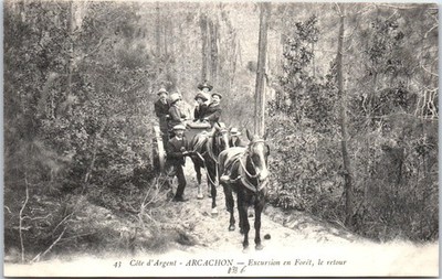 33 ARCACHON - Bohrerausflug, Rückfahrt