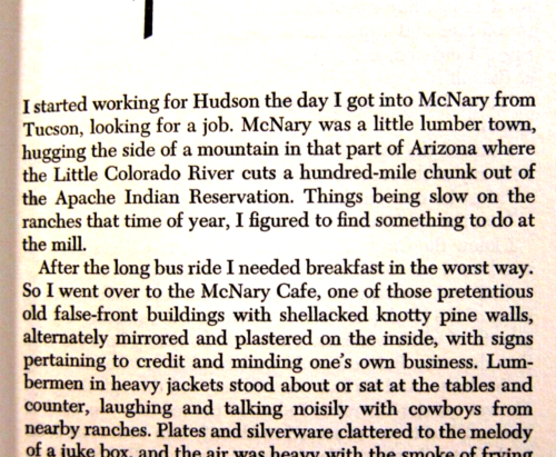 Wild Stallion, Bud Murphy, 1952, World Jr. Library, 1st edition - Picture 13 of 13