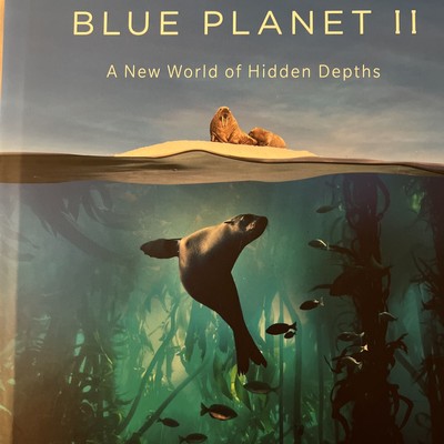 UK Blue Planet II A New World Of Hidden Depths Take A Deep Breath A High Qualit