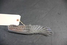 NOS Halrey Davidson CUSTOM Chrome Wing CHROME cover Custom