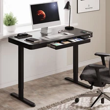 FunniHomi 48"/55" Electric Height Adjustable Standing Desk w/ Drawer, USB Ports