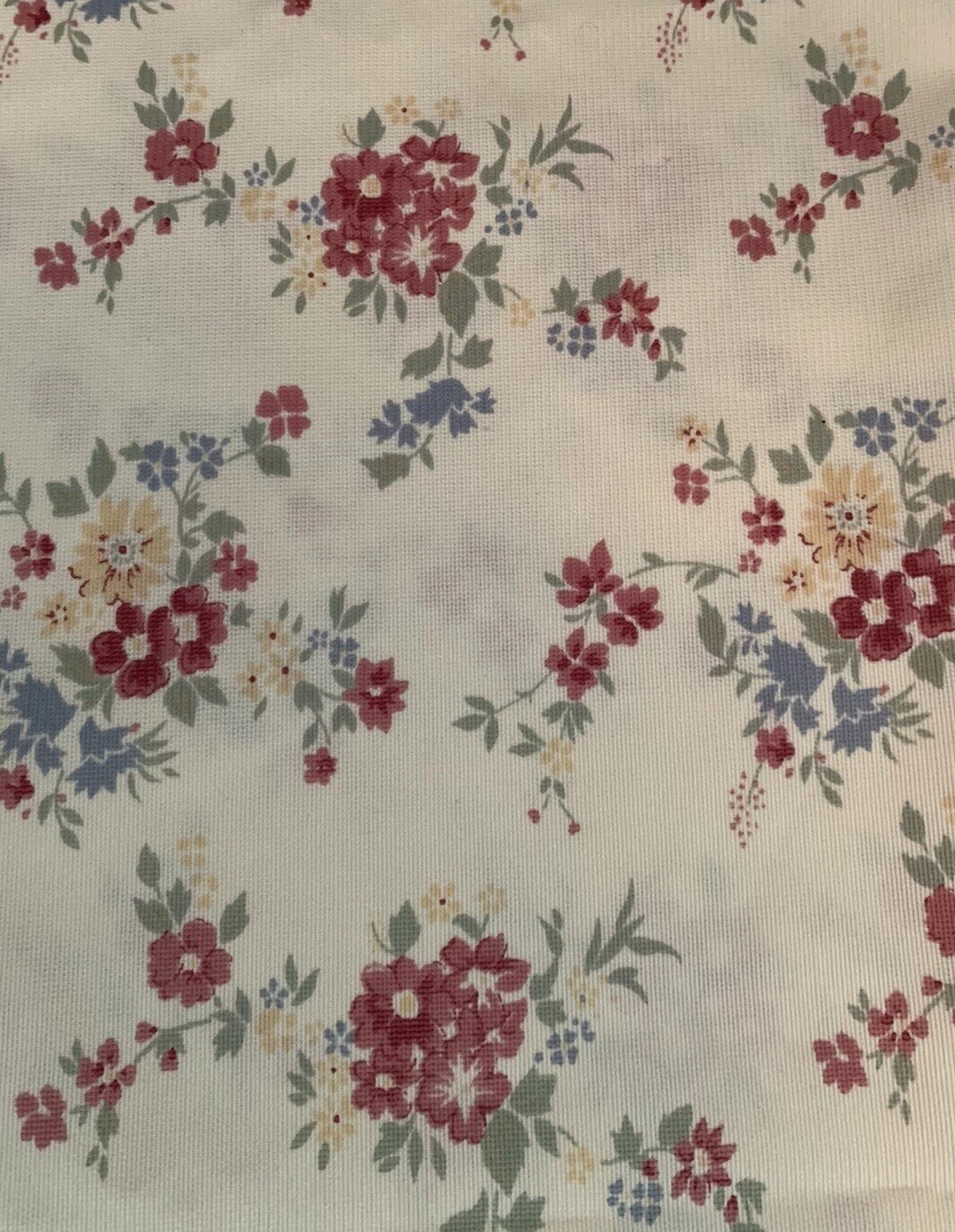 Picture 5 of 11
