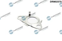 Dr.Motor Automotive Dichtung, Leitung Agr-Ventil FüR Mini