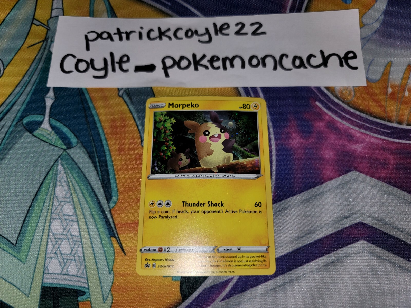 Morpeko Holo Black Star Promo SWSH012 NM