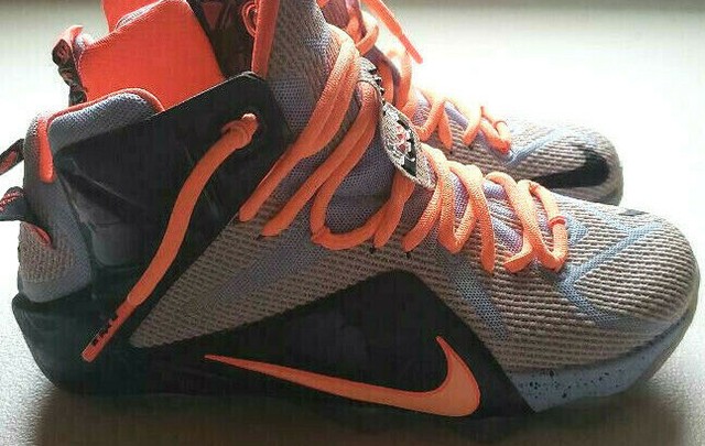 lebron james basketball shoes 2014