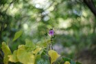 Bild 18 von 18