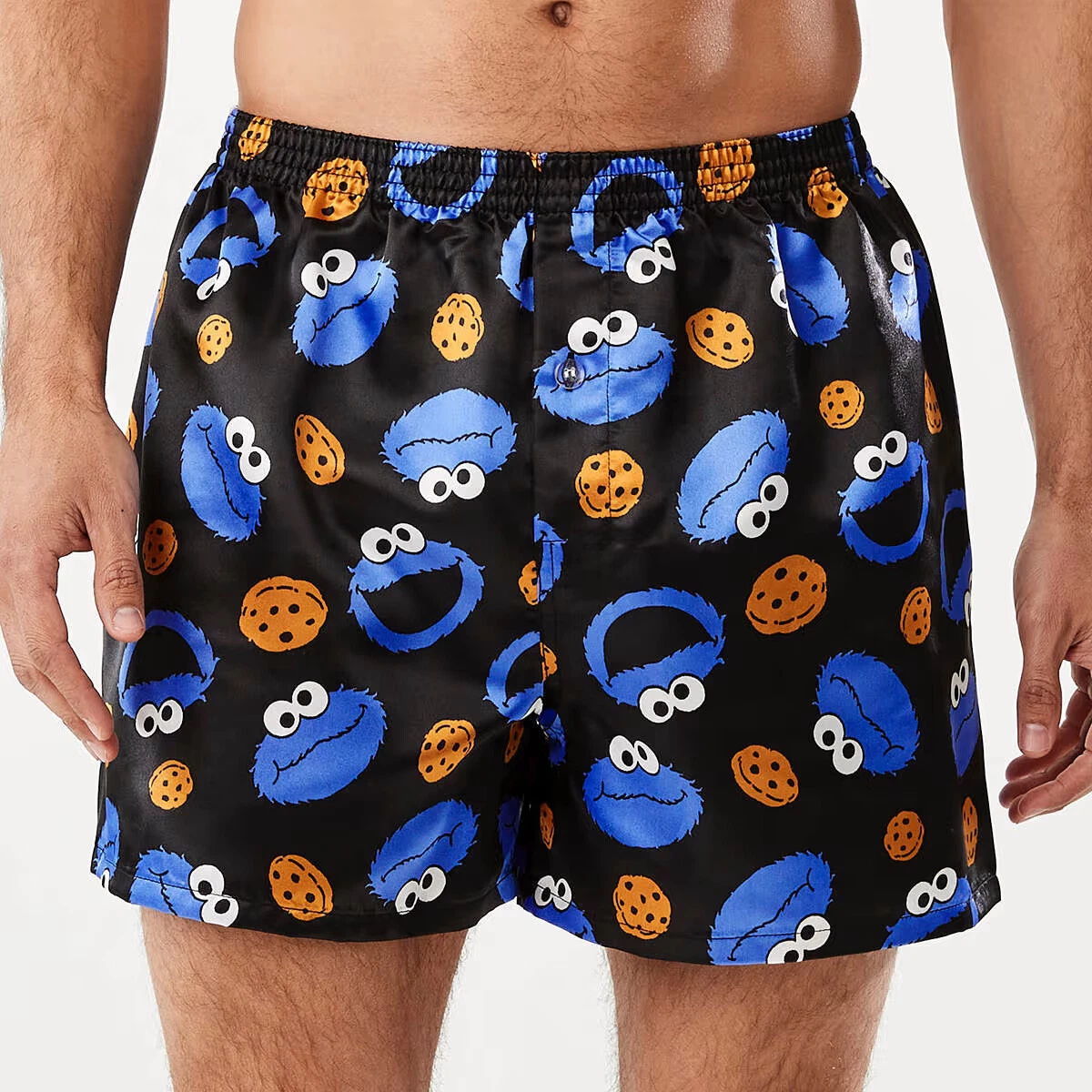 Sesame street - cookie monster - boxers - meerkleurig - Kleding