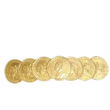 Vintage Mimi DI N Coin Belt Buckle Gold Tone Coin Jewelry