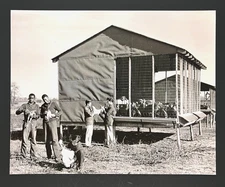 Philadelphia Shallcross Farm School Desegregated Boys Chicken REPRINT 1957 Photo