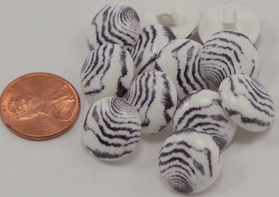 Lot of 12 Domed White & Black Plastic Buttons Almost 5/8'' 15mm # 6972