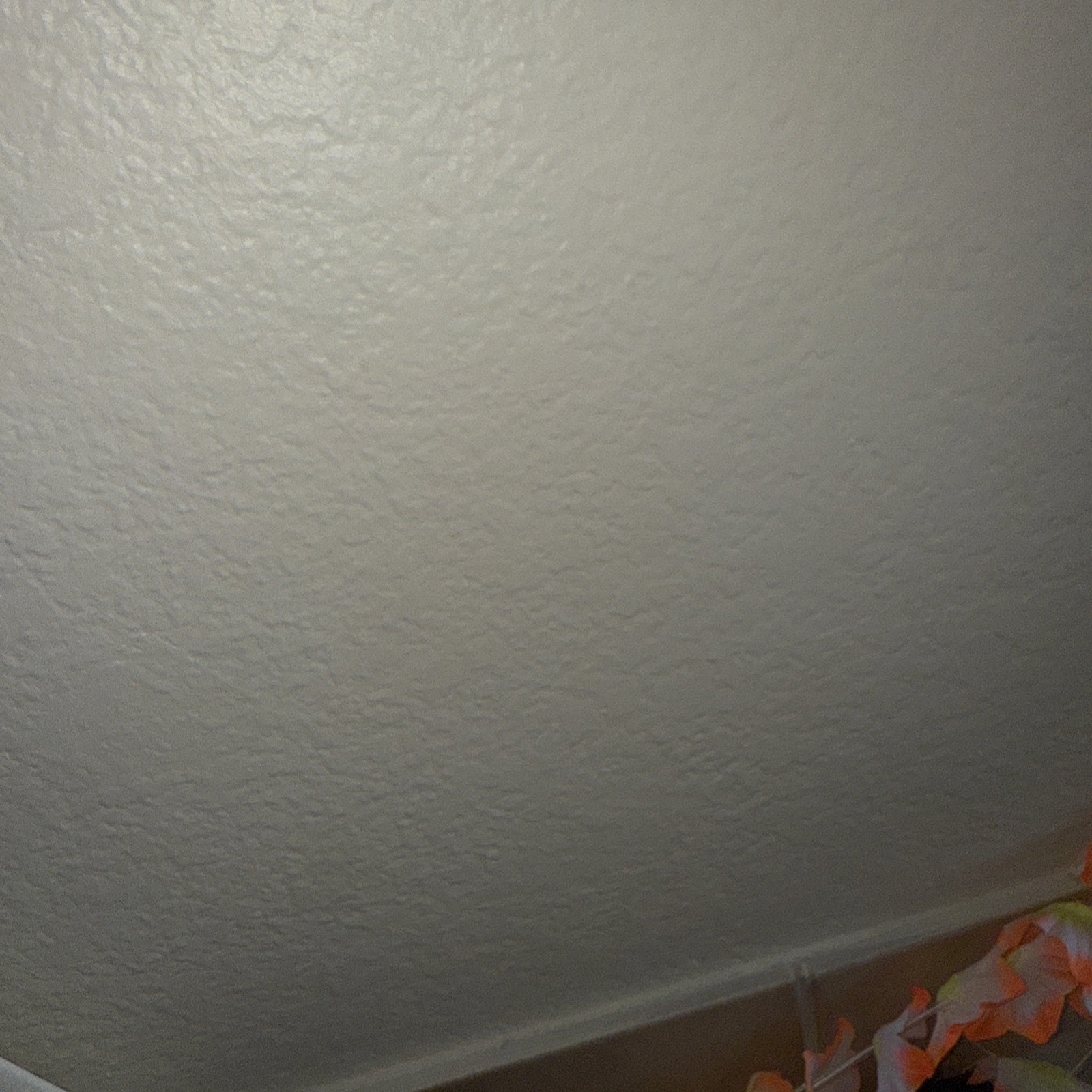 Bild 2 von 4