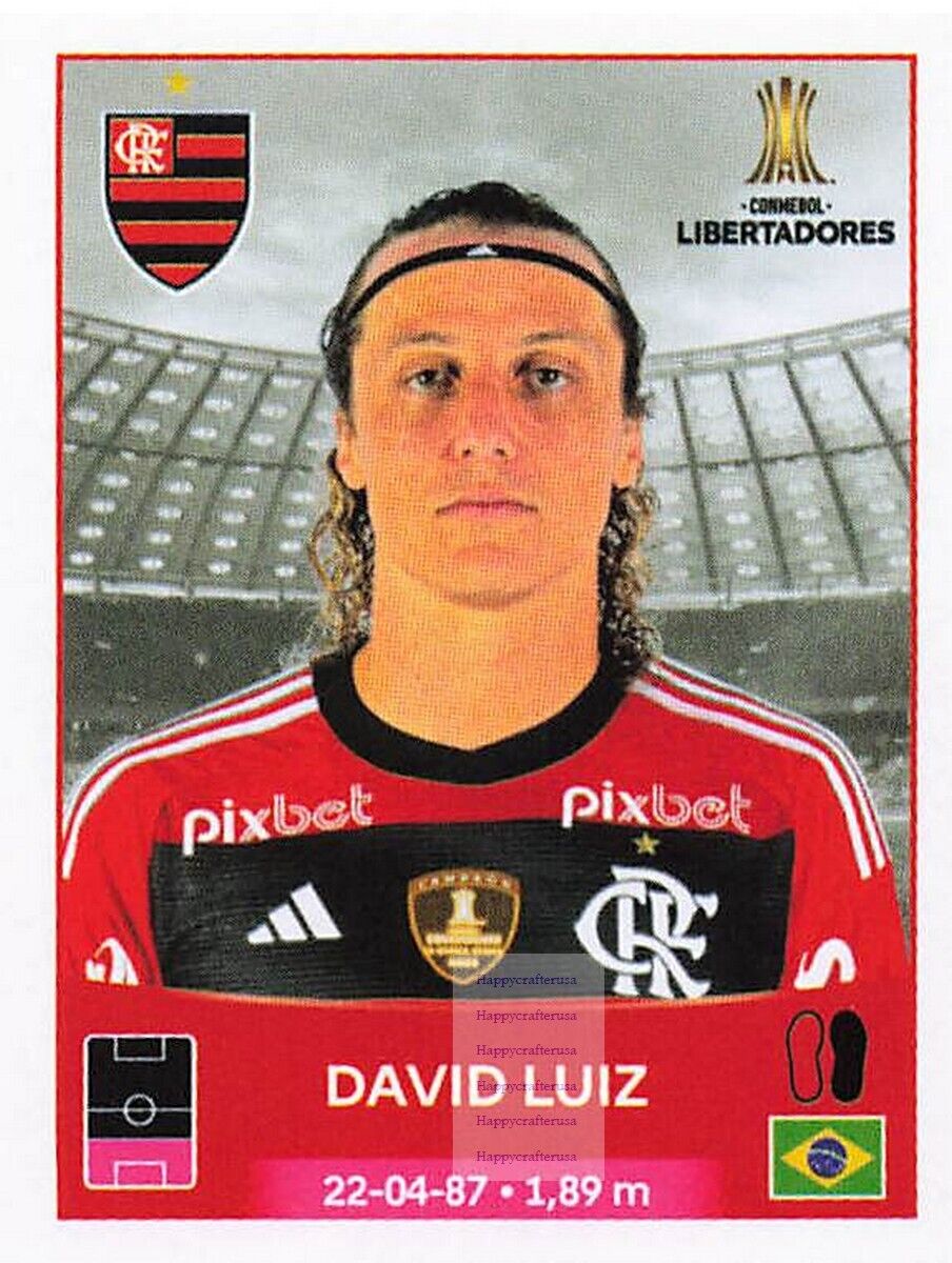 2023 PANINI CONMEBOL Copa Libertadores Sticker #021 DAVID LUIZ - FLAMENGO •  $4.99 in 2023