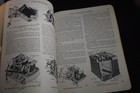Picture 6 of 10