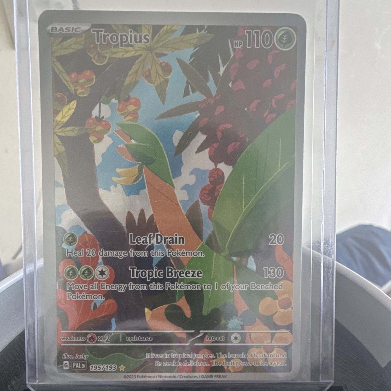 The Pokémon Company Tropius SV02 Paldea Evolved 195/193 IR Holo EN 110HP 2023