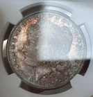 1879-S NGC MS65 Morgan Dollar Stunning Natural Pastel Album Toning Gem