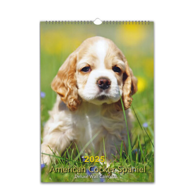 American Cocker Spaniel photo calendar 2026/27 personalised Choose Start