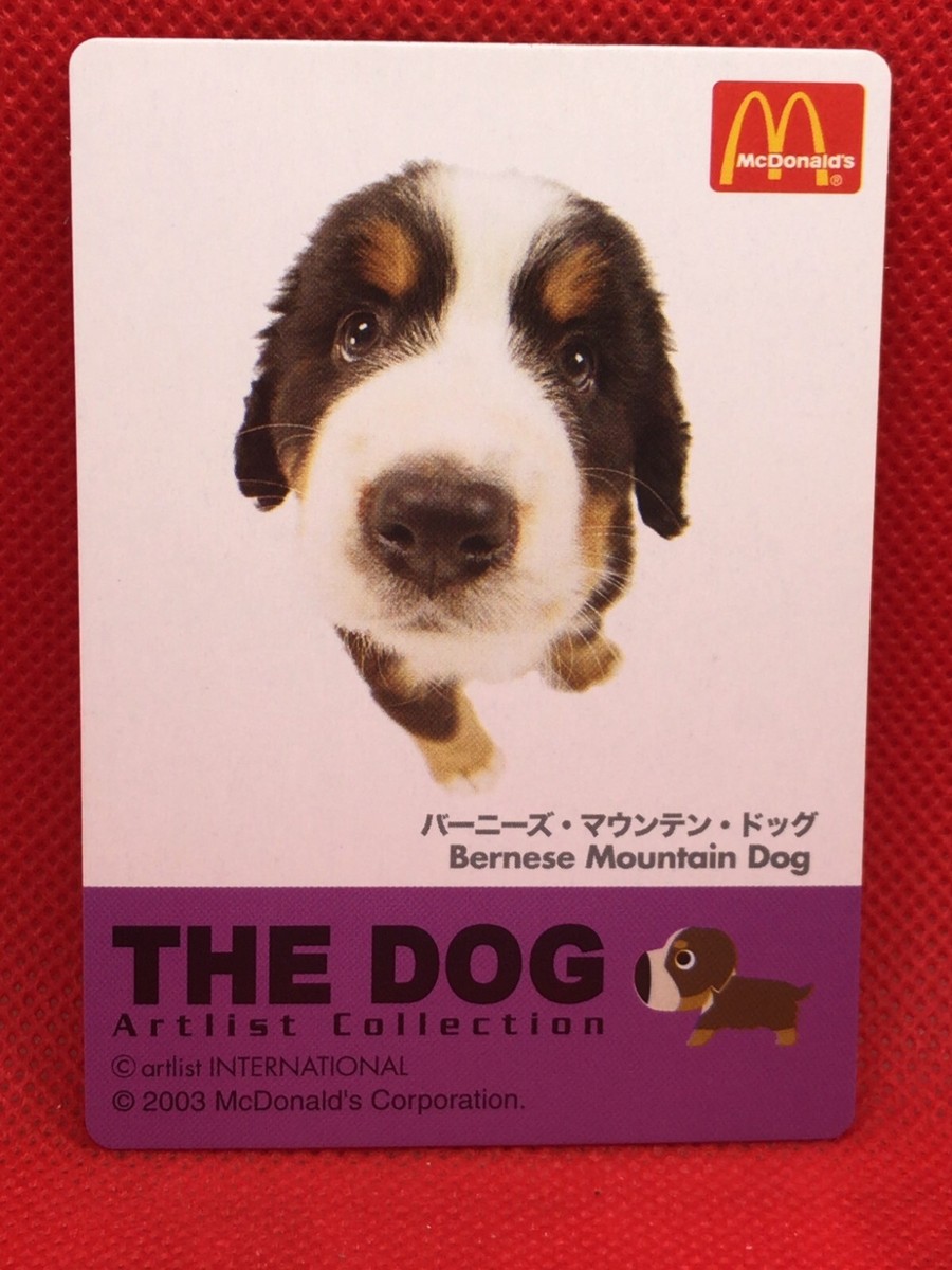 dog dog　になります。 Bernese Mountain Dog THE DOG artist collection card McDonald's