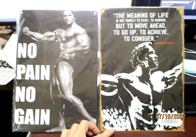 2 pcs Metal sign retro THE MEANING OF LIFE  & NO PAIN NO GAIN Schwarzenegger 