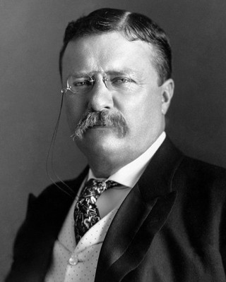 U.S. President Theodore Roosevelt (1858-1919) in 1918. (USA Stock Photo