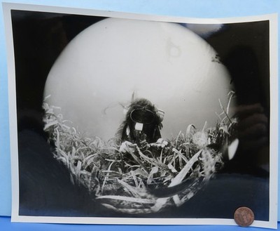 NASA PHOTO vtg Female AQUANAUTS Tektite II Biomedical Research / B&W 8 x 10''
