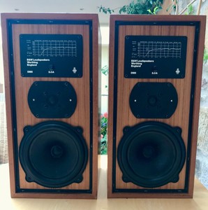 bowers & wilkins dm5