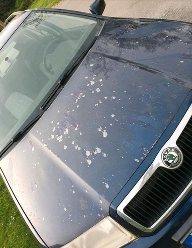 Skoda Fabia Kombi 1.4 Benzin ohne TüV - Bild 2 von 13