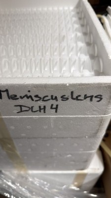 Dedolight DLH4 Meniscus Lens Set / Ersatz Meniskuslinse   5 Stück