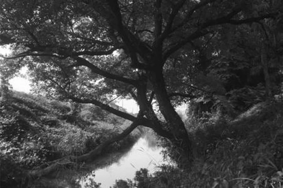 R72 Infrared Camera Lens Filter for Photography Above 720nm Crime Detection - Image 3 of 3