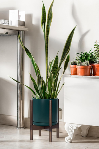 Ceramic Planter with Walnut Color Stand - 10 Inch Modern round Flower Pot with W - Picture 4 of 5