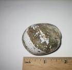 1.5" BEAUTIFUL TUMBLED POLISHED NATURAL OCEAN JASPER PALM STONE MINERAL  71grams — photo 6