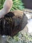 3lb 13oz OREGON COAST OBSIDIAN w MAHOGANY VEINS Rough (Moving Sale All Must Go) — photo 10